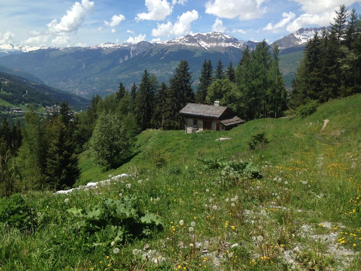 Petit Mont Blanc Villa Peisey Nancroix Bagian luar foto